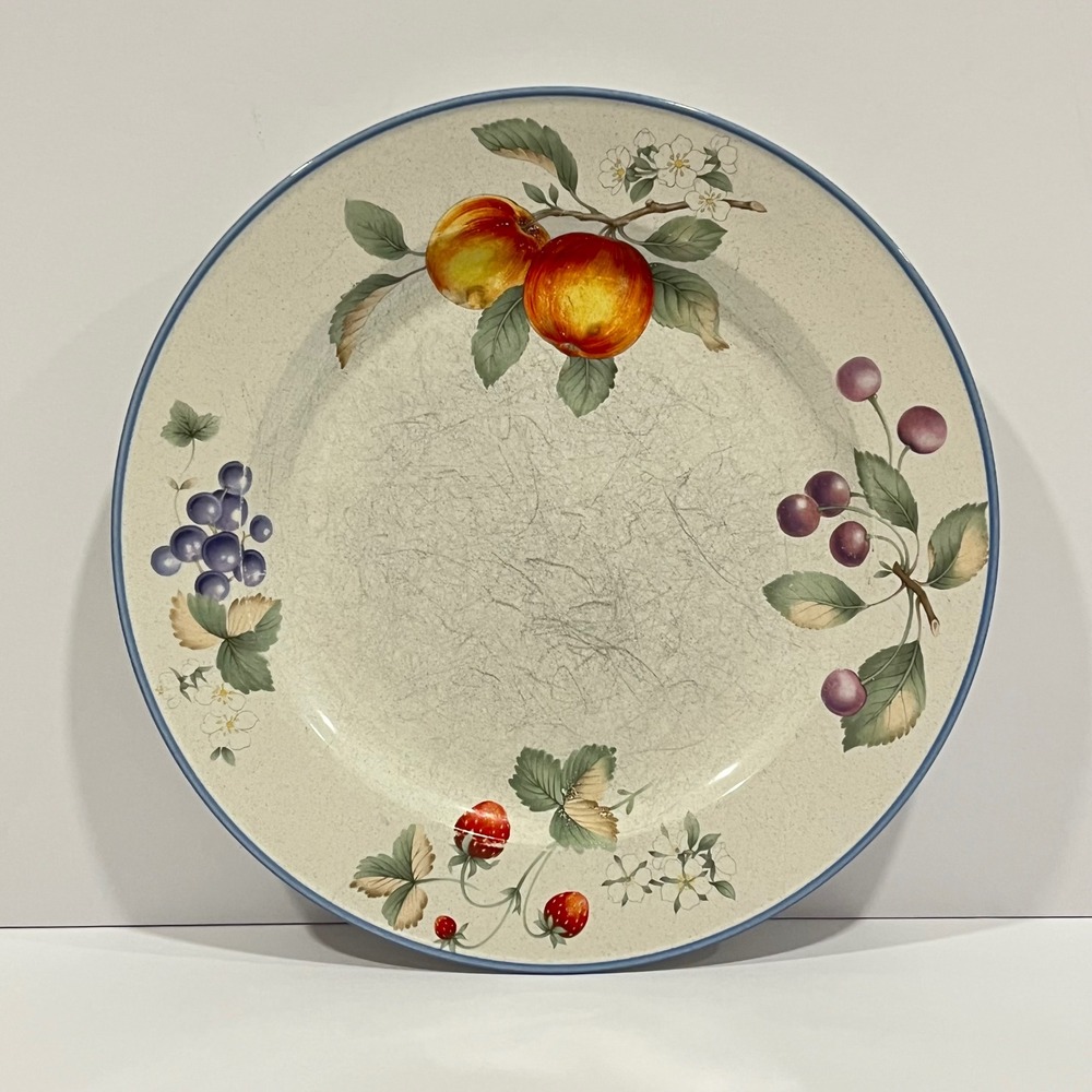 Savoir Vivre Luscious JJ017 Dinner Plate Fruit Stoneware Japan Set of 2